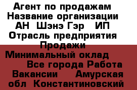 Агент по продажам › Название организации ­ АН "Шэнэ Гэр", ИП › Отрасль предприятия ­ Продажи › Минимальный оклад ­ 45 000 - Все города Работа » Вакансии   . Амурская обл.,Константиновский р-н